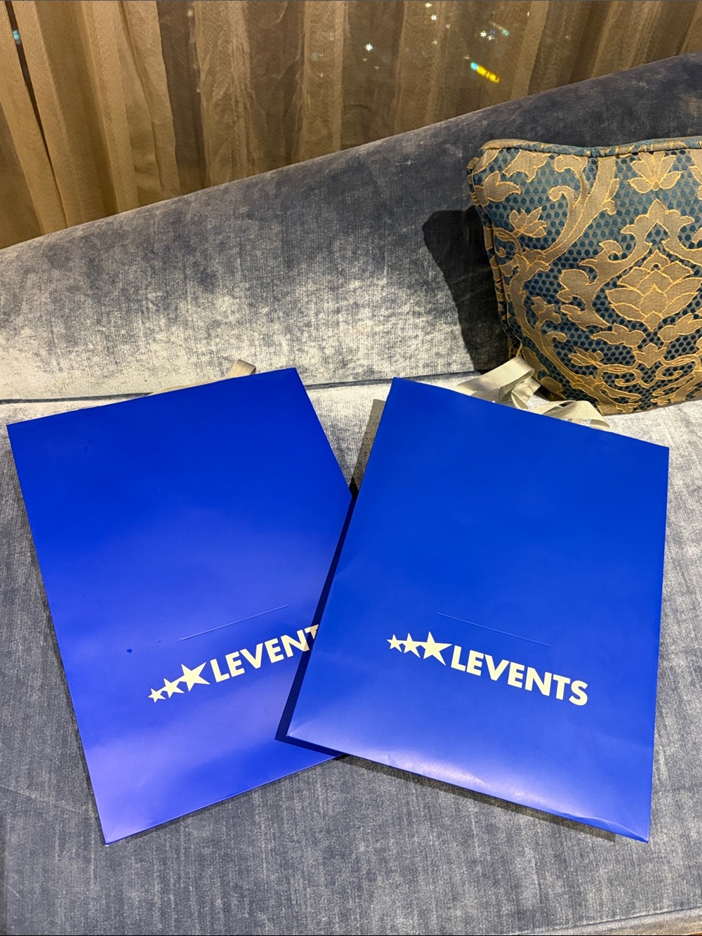 Blue Gift Bags - Set of 2